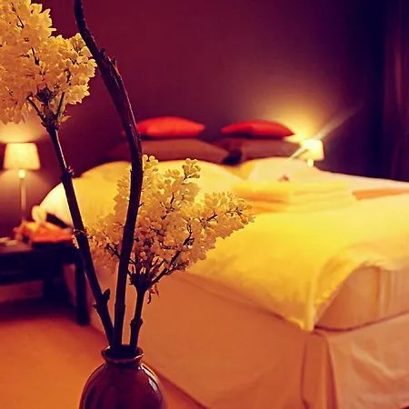 住宿加早餐酒店 Maison Indochine